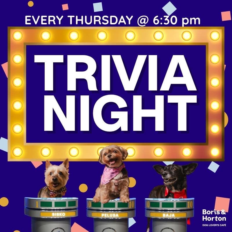 Thursday Trivia Night!