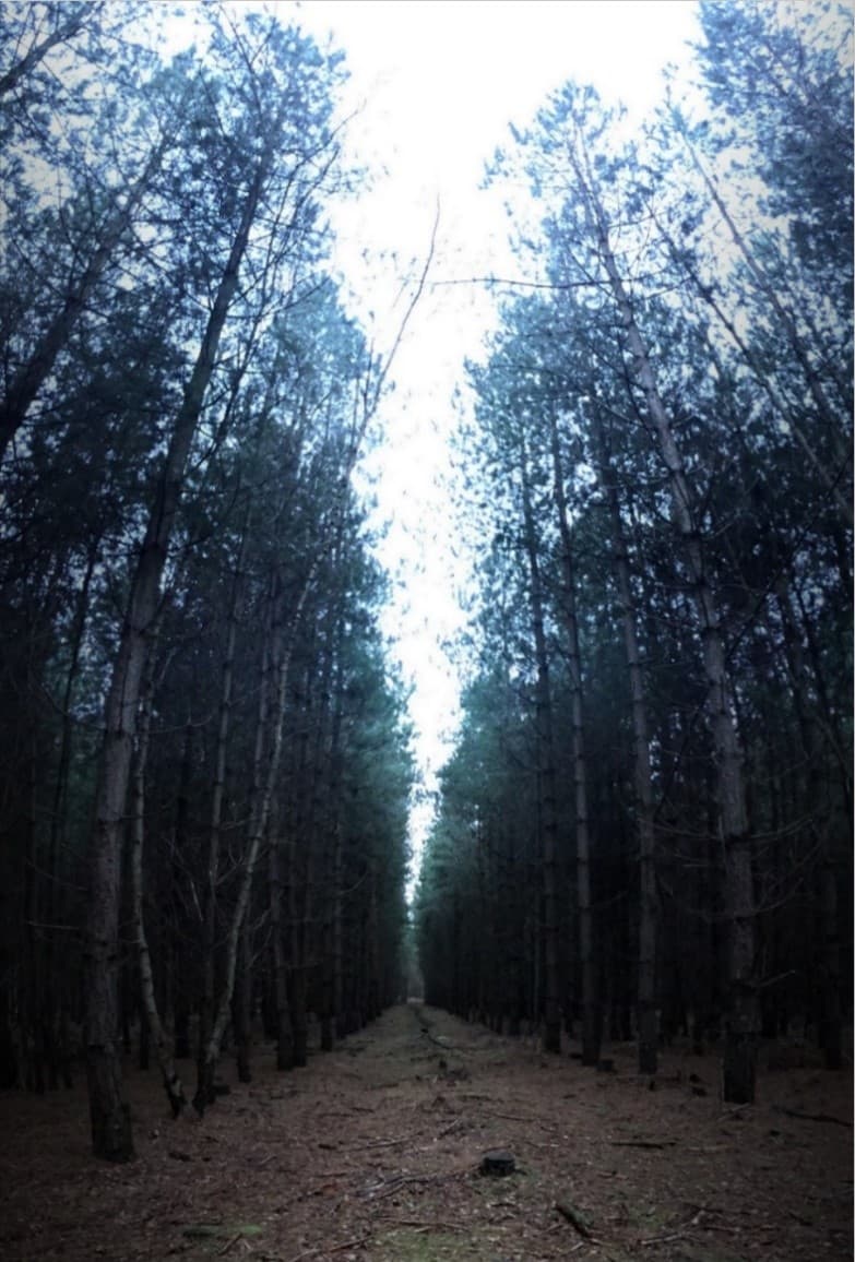 Rendlesham